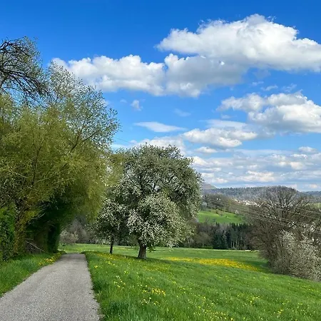 Marbachtaele Appartamento *