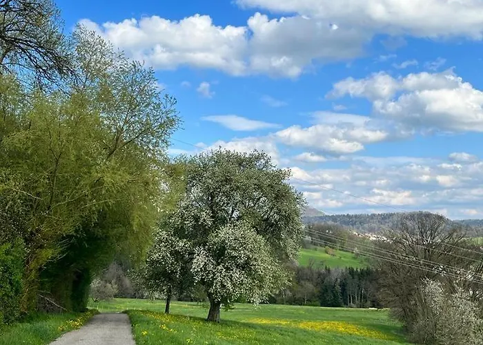 Marbachtaele 公寓 *